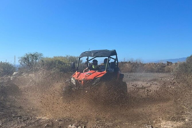 Masca Valley Adventure Guided Buggy Tour - Masca Valley Stop: The Cliffs, Ravines, and the Photos You Came For