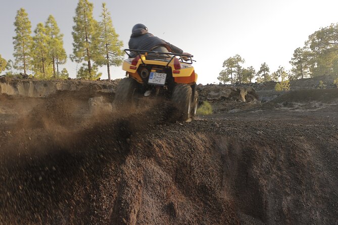 Masca Valley Guided Buggy Tour. Small Group. - Safety briefing and the 21+ driver rule
