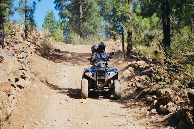 Masca Valley Guided Buggy Tour. Small Group. - Price and what $235.40 per group really buys you