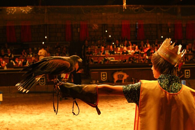 Medieval San Miguel castle with dinner-Show in South Tenerife - Who should book this medieval dinner show