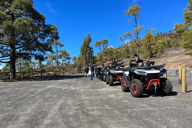 Monster Quad Teide Tour - Choosing your Teide National Park timing: morning, BBQ afternoon, or sunset