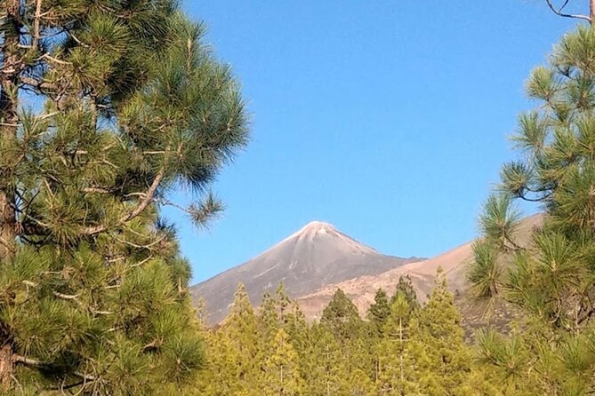 Monster Quad Teide Tour - Meeting point, pickup, and the 30-minute arrival rule