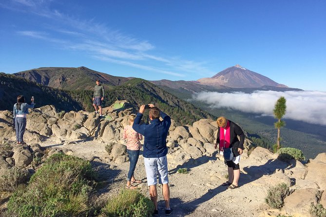 Mount Teide and Tenerife North with Food & Wine Tasting Private Tour - Door-to-door pickup in a Mercedes EQV (and why it matters)