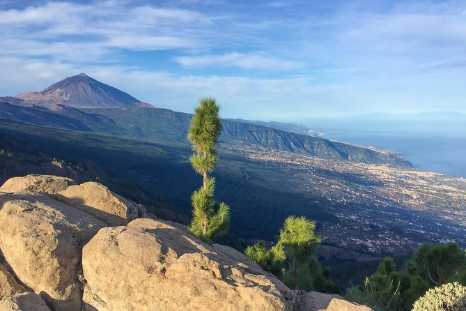 Mount Teide and Tenerife North with Food & Wine Tasting Private Tour - What you eat and drink, gofio to quesillo