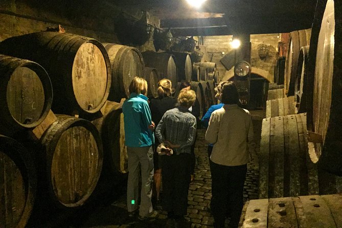 Mount Teide and Tenerife North with Food & Wine Tasting Private Tour - Price and value for a group of up to two