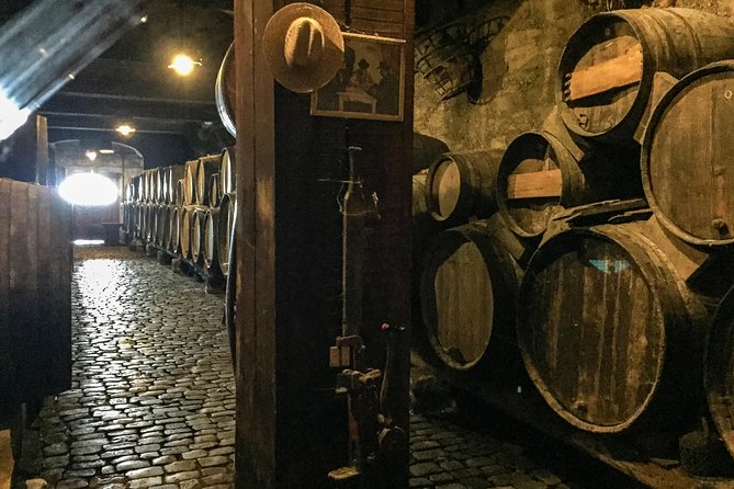 Mount Teide and Tenerife North with Food & Wine Tasting Private Tour - Who should book, and who might want a different plan