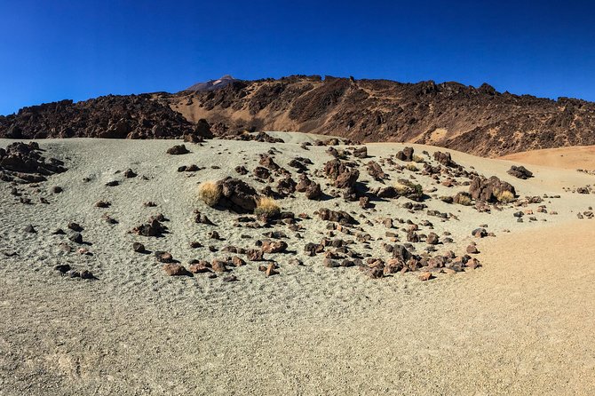 Mount Teide and Tenerife North with Food & Wine Tasting Private Tour - Mount Teide National Park: UNESCO volcano, 2 hours at altitude