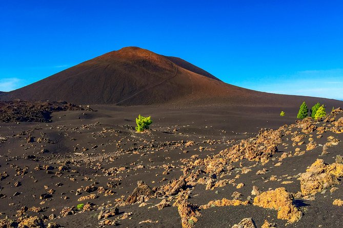 Mount Teide and Teno Country Park Private Tour - Stop 1: Teide National Park, UNESCO geology, and the Mount Teide setting