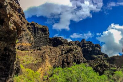 Mount Teide and Teno Country Park Private Tour