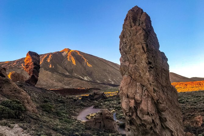Mount Teide and Teno Country Park Private Tour - Stop 2: Natural Park of Teno, tabaibas and cardones on rough slopes
