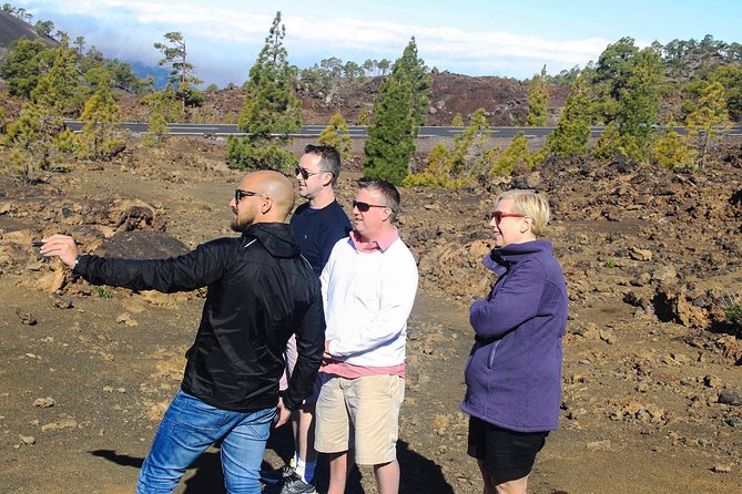 Mount Teide and Teno Country Park Private Tour - Stop 3: Parque Natural Corona Forestal, the shift above 1,000 meters