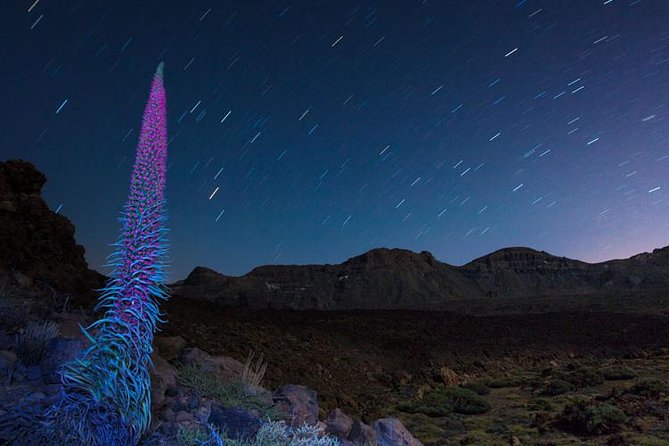 Mount Teide Night Tour: Stargazing, Dinner and Hotel Pick up - Teide after dark: why this works better than a daytime trip