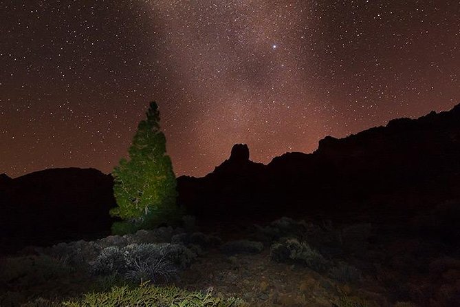 Mount Teide Night Tour: Stargazing, Dinner and Hotel Pick up - Where you stop to stargaze: great dark-sky energy, sometimes close to traffic