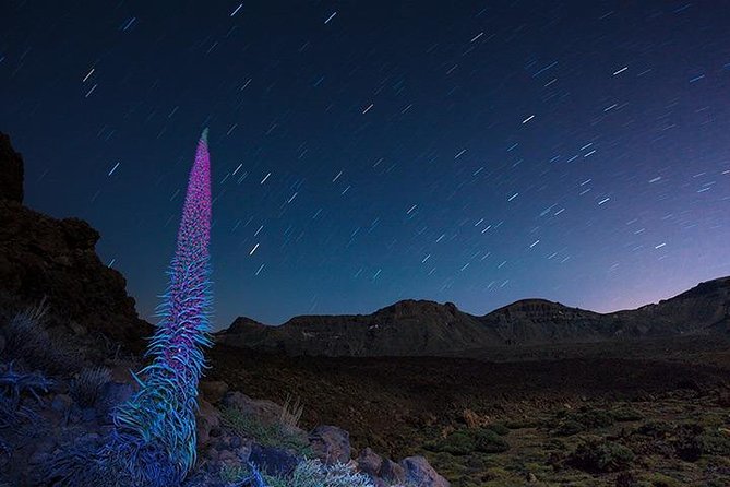 Mount Teide Night Tour: Stargazing, Dinner and Hotel Pick up - When the moon is bright and the sky is not perfect