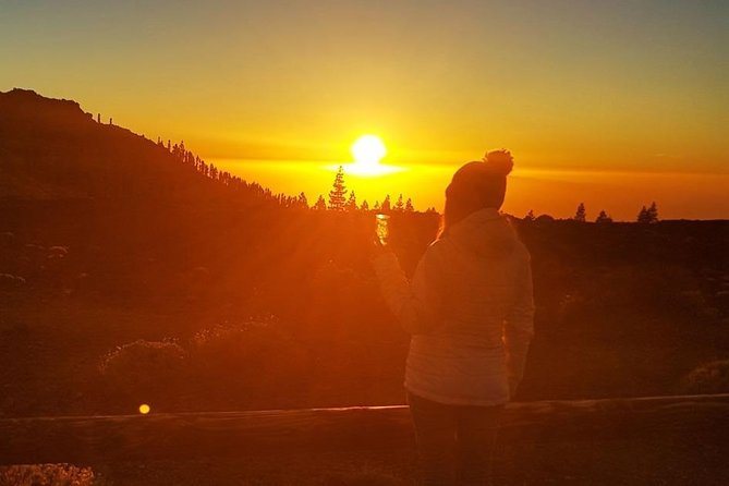 Mount Teide Stargazing with Dinner - Price and Value: Dinner, Drinks, and Telescope Time