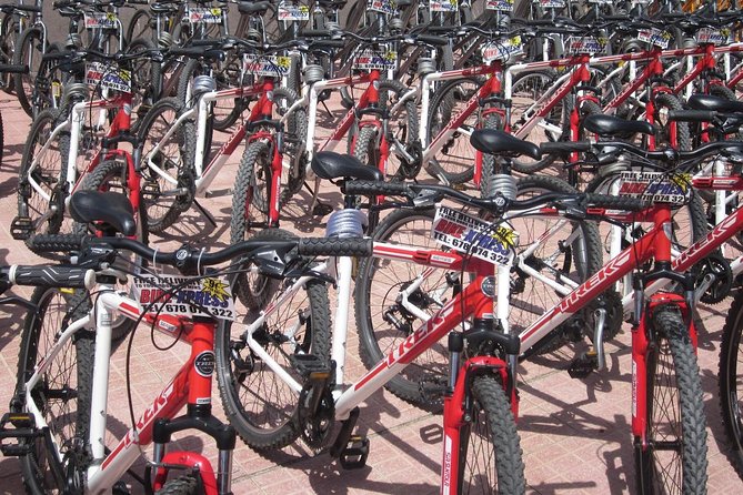 Mountain Bike Rental Tenerife - Timing, heat, and how to avoid a rough day on a hardtail