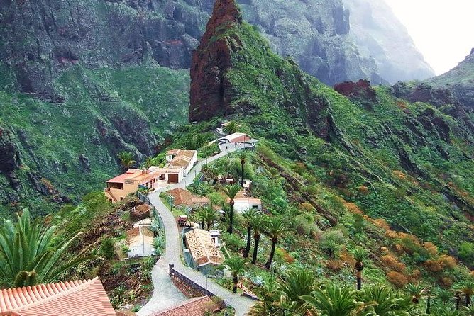 Mt. Teide and Masca Valley Tour in Tenerife - Teide National Park surrounds the big cone, with quick photo stops
