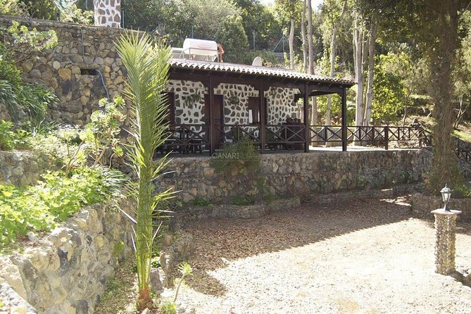 Mt. Teide and Masca Valley Tour in Tenerife - Icod de los Vinos and the Parque del Drago dragon tree