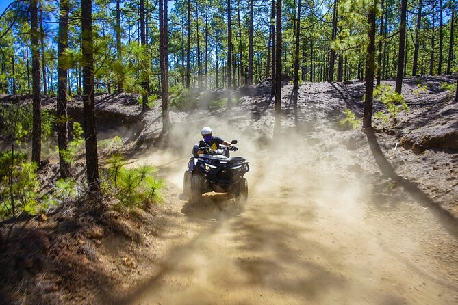Off-Road Quad Tour from Woodlands to Volcanic Heights - Key highlights at a glance
