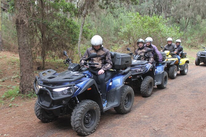 Off-Road Quad Tour from Woodlands to Volcanic Heights - Teide National Park stop: rests, rare sightings, and volcanic viewpoints