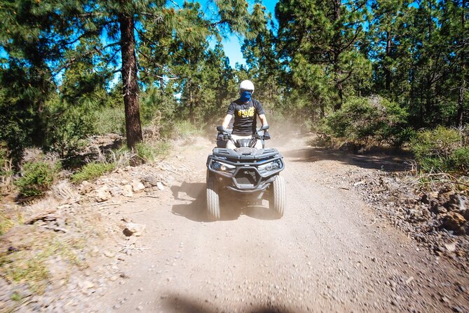 Off-Road Quad Tour from Woodlands to Volcanic Heights - Dust and pace: what can surprise first-time riders
