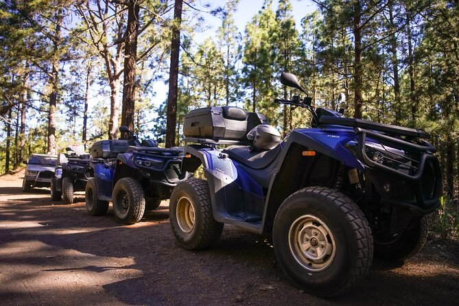 Off-Road Quad Tour from Woodlands to Volcanic Heights - Small group size and why it matters for a 3-hour ride
