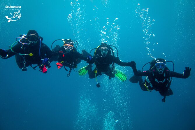 PADI Advanced Open Water Diver Course (AOWD) - 2 days - Instructors you might meet, and why that’s a real detail
