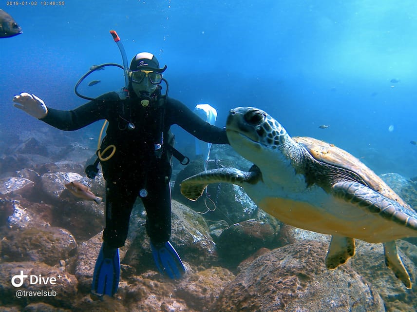 PADI Discover Scuba Diving Course in Tenerife - Key things I’d bet your trip on