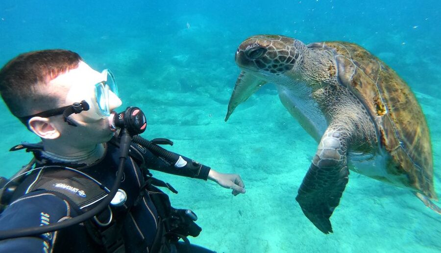 PADI Discover Scuba Diving Course in Tenerife - Speedboat transfer: the short ride to the right water conditions