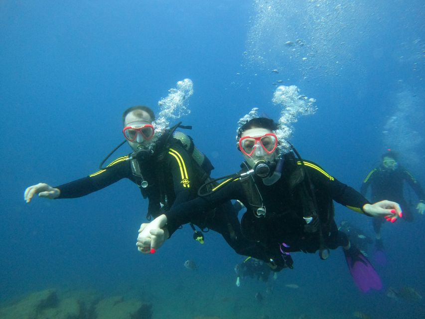 PADI Discover Scuba Diving Course in Tenerife - After your underwater time: the community moment you’ll actually remember