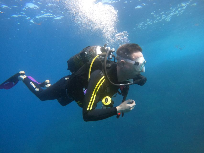 PADI Discover Scuba Diving Course in Tenerife - Price and value: is $129 a fair deal for first-time SCUBA in Tenerife?