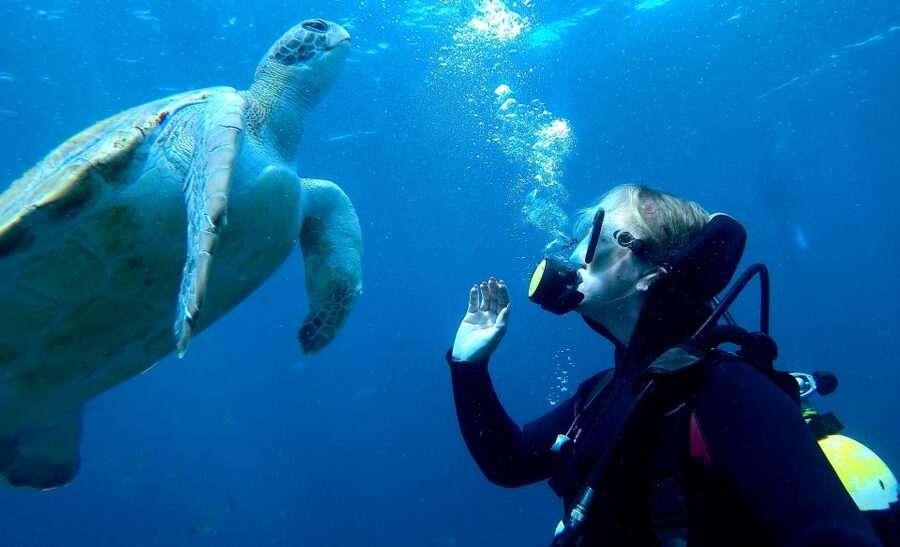 PADI Discover Scuba Diving Course in Tenerife - Who should book this, and who should skip it