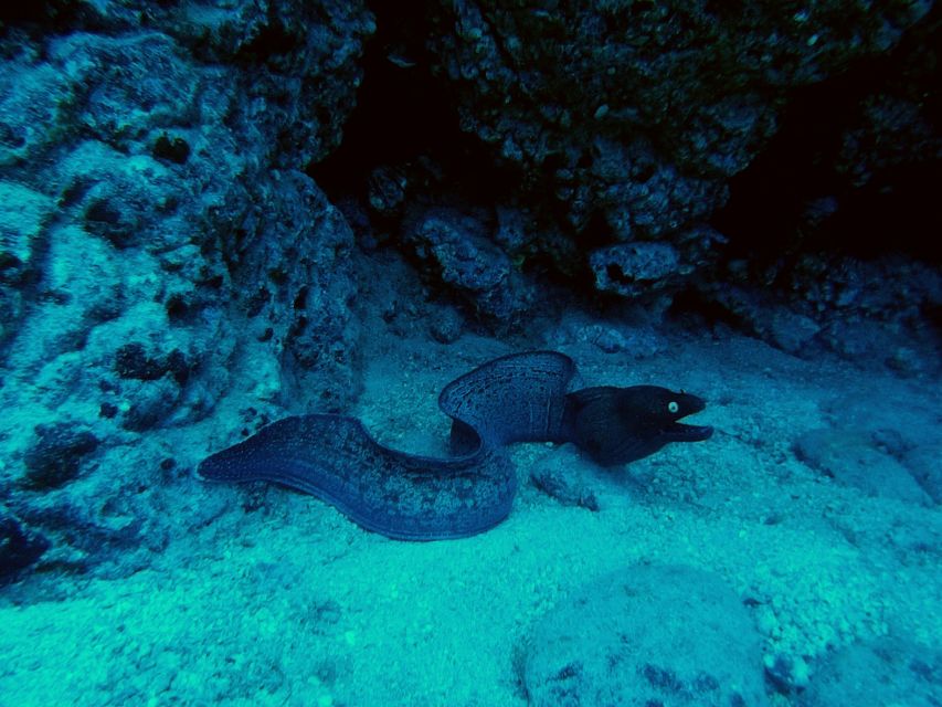 PADI Open Water Course in 3 Days - FAQ