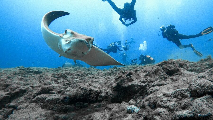 PADI Open Water Course in 3 Days - Included Gear, Insurance, and Instructor Time: What You’re Paying For