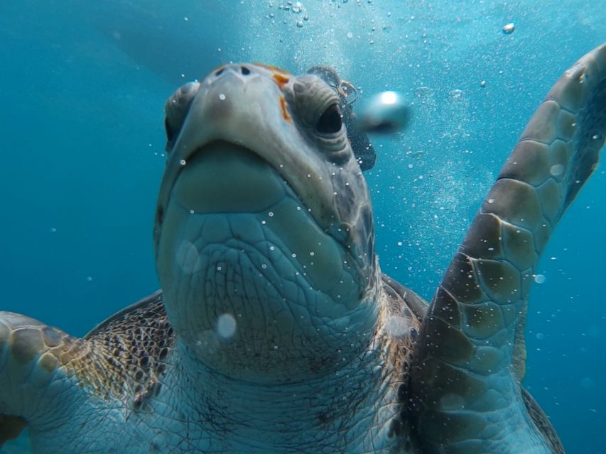 PADI Open Water Course in 3 Days - Price and Value at About $465: What’s Included, What Costs Extra