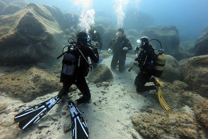 PADI Open Water Course in Costa Adeje - What the confined-water bay sessions are really for