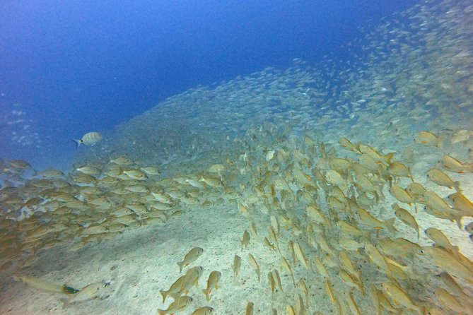 PADI Open Water Course in Costa Adeje - Equipment, included support, and what that means for value