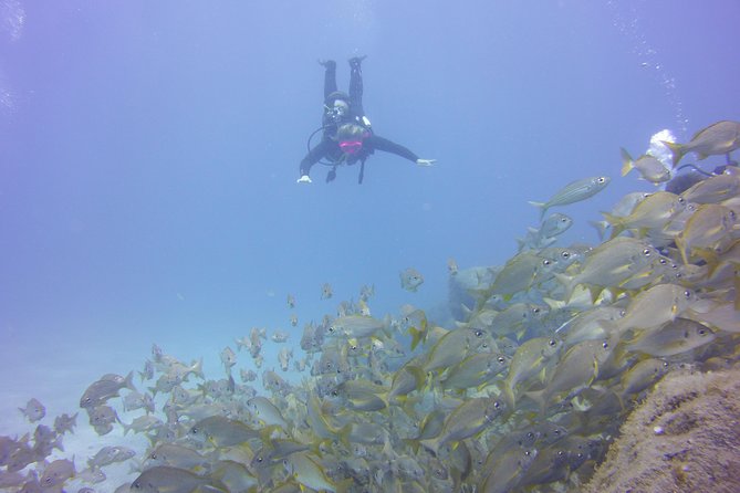 PADI Open Water Diver Course - Should you book this PADI Open Water course in Tenerife?