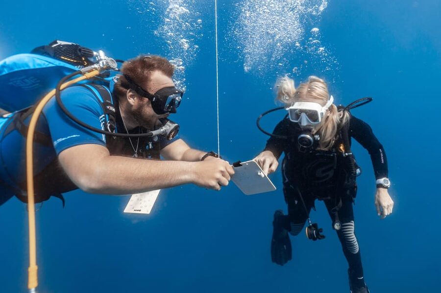 PADI Open Water Diving Course Tenerife - What you actually learn: breathing, control, and safety basics