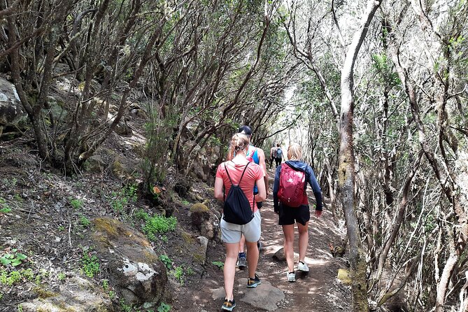 Panoramic route across the Teno rural Park in Tenerife - Midday rhythm and village stops: old life on harsh ground