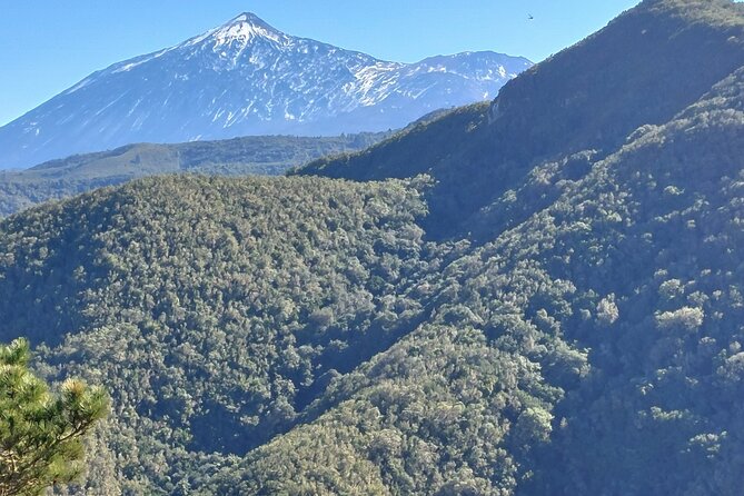 Panoramic route across the Teno rural Park in Tenerife - Optional local bar stop: goat cheese, meat, wine, pastries