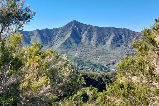 Panoramic route across the Teno rural Park in Tenerife - Pace and difficulty: what 535 m gain feels like on the ground