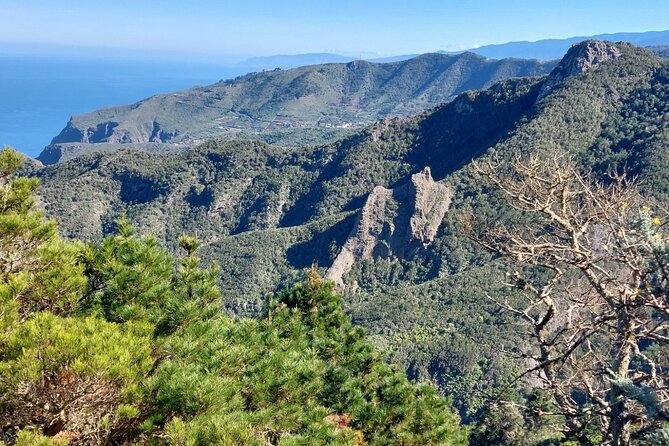 Panoramic route across the Teno rural Park in Tenerife - What Sergio’s guidance adds (and why small groups matter)