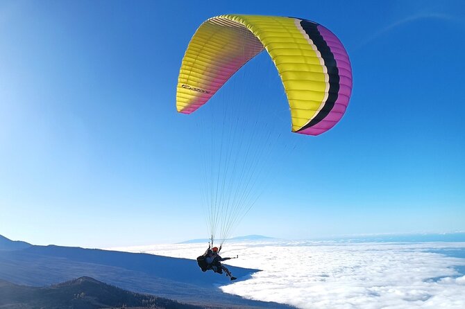 Paragliding from Teide National Park 2200m to Puerto de la Cruz - Key highlights you should know before you go