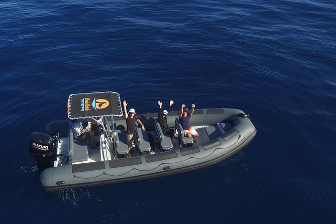 Private 2 hour Whale Watching Tour - Key things to know before you go