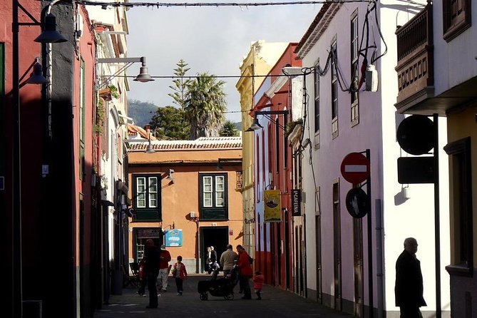 Private 4-hour Tour to La Laguna from Tenerife from Hotel or Port pick-up - Included vs not included: plan your day like a pro