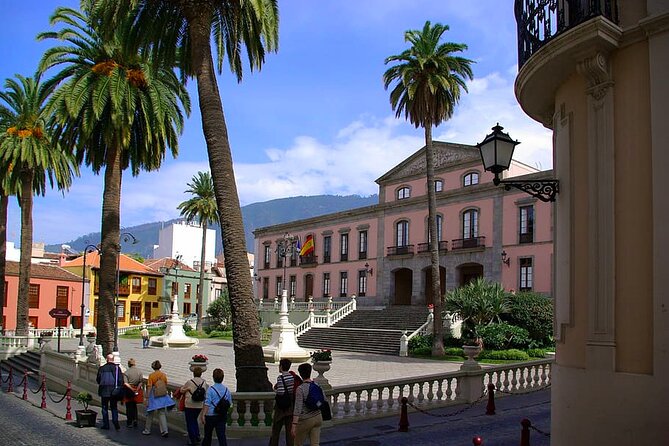 Private 6-hour Tour of La Orotava + Puerto de La Cruz with Hotel pick-up - How pickup and private transport changes the day