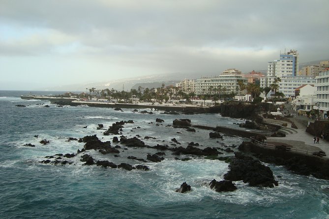 Private 6-hour Tour of La Orotava + Puerto de La Cruz with Hotel pick-up - Orchid Gardens and Taoro Park: the calm side of the north