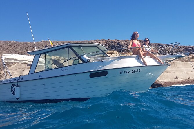 Private boat tour - La Caleta Anchor Time: Swim, Snorkel, Fish, and Spot Marine Life