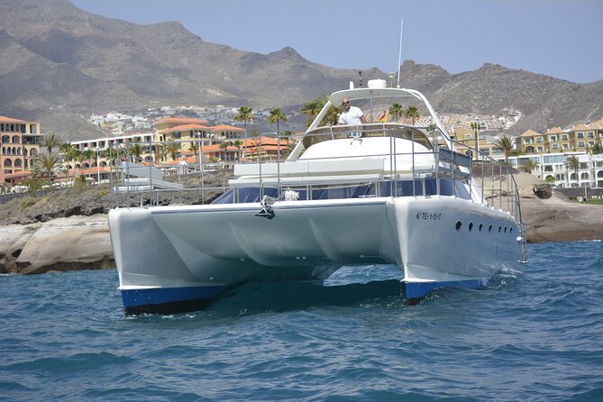 Private Catamaran Charter with Transfer, Buffet and Snorkeling - Private catamaran and transfers: how this 3-hour outing runs
